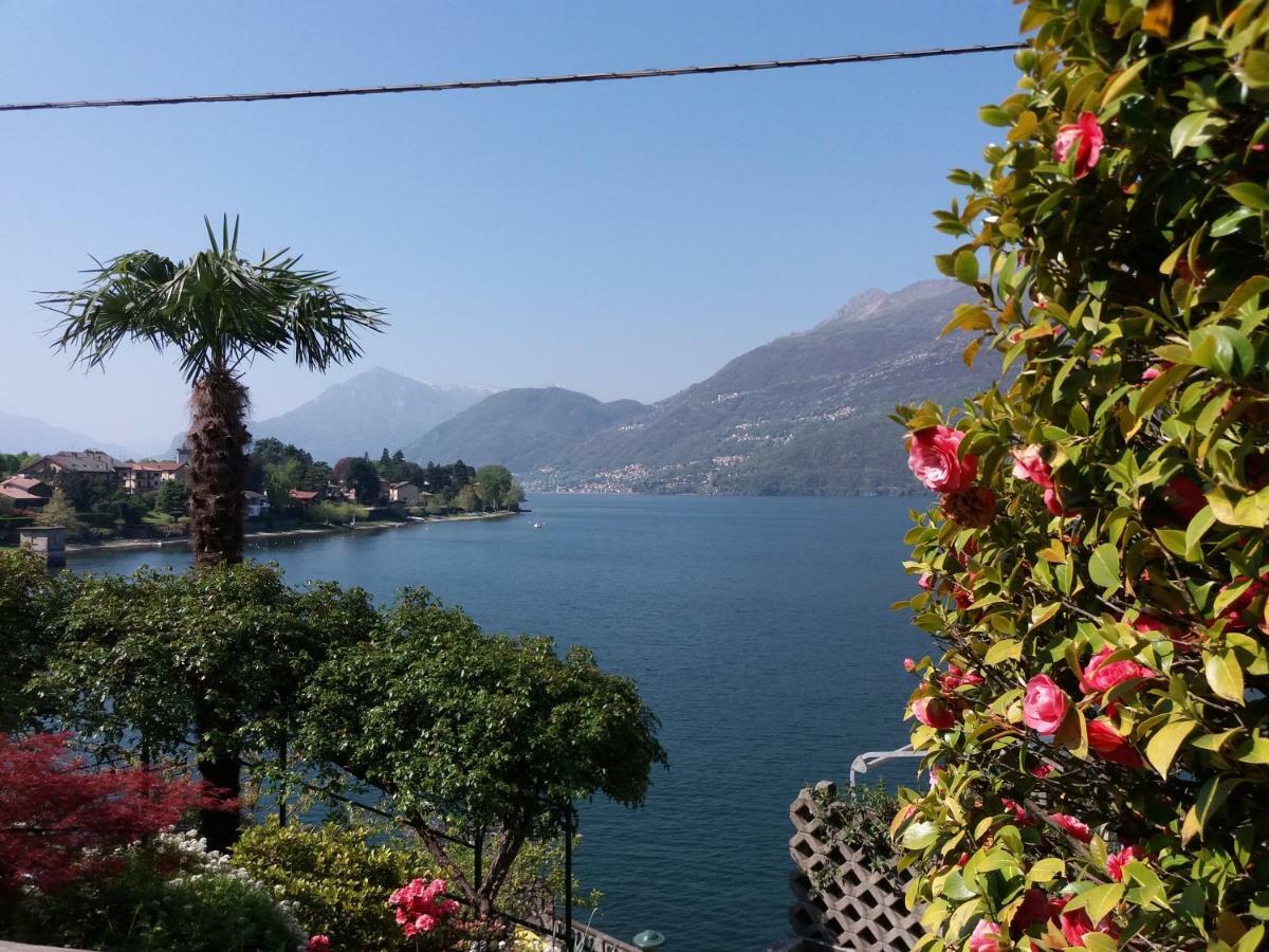 Villa Plinio Lago Di Como 德尔维奥 外观 照片