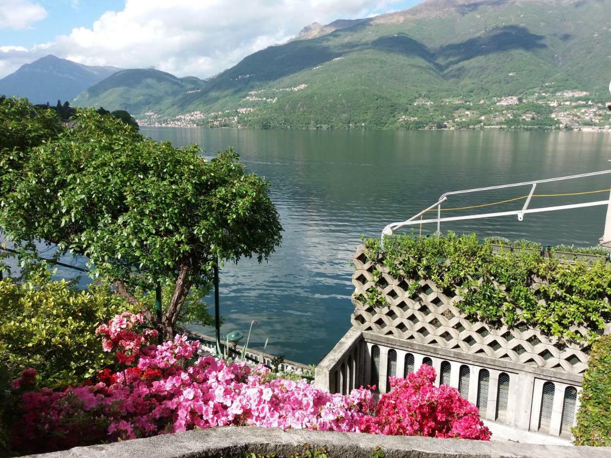 Villa Plinio Lago Di Como 德尔维奥 外观 照片