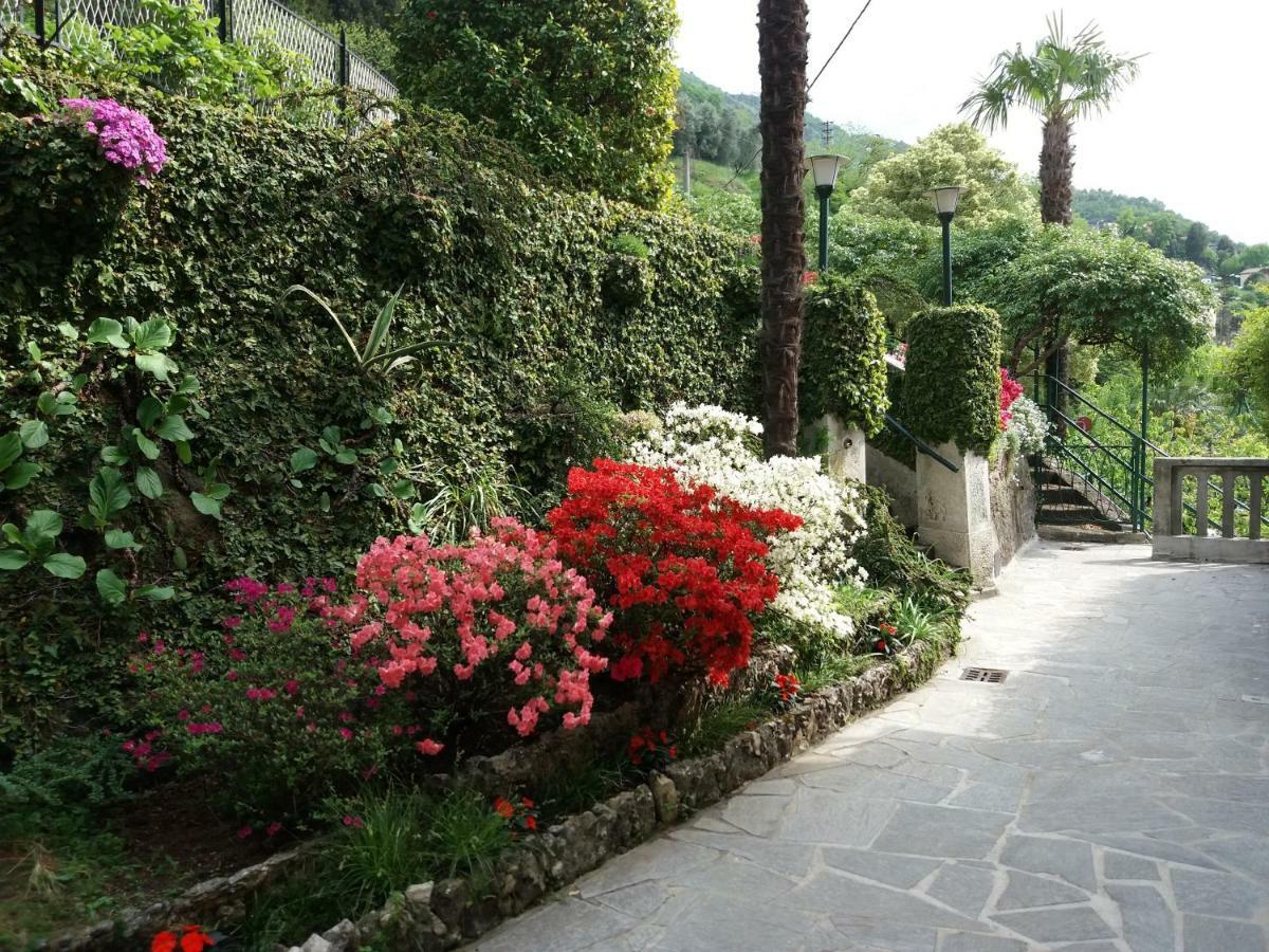 Villa Plinio Lago Di Como 德尔维奥 外观 照片